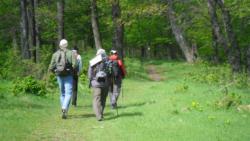 20140418-20 mecsek 08