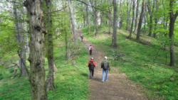 20140418-20 mecsek 09