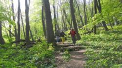 20140418-20 mecsek 11