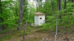 20140418-20 mecsek 12