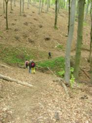 20140418-20 mecsek 14