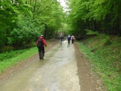 20140418-20 mecsek 16