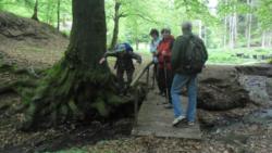 20140418-20 mecsek 21