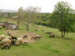 20140418-20 mecsek 22