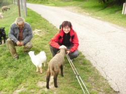 20140418-20 mecsek 24