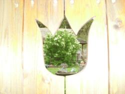 20140418-20 mecsek 29