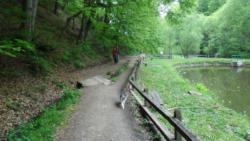 20140418-20 mecsek 31