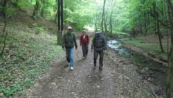 20140418-20 mecsek 35