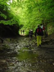 20140418-20 mecsek 36