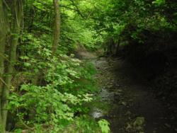 20140418-20 mecsek 37