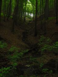 20140418-20 mecsek 40