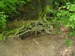 20140418-20 mecsek 41