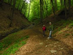 20140418-20 mecsek 42