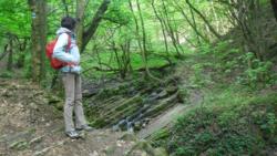 20140418-20 mecsek 44