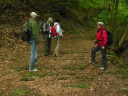 20140418-20 mecsek 45