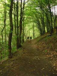 20140418-20 mecsek 46