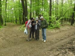 20140418-20 mecsek 53