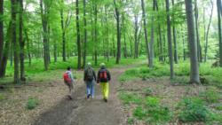 20140418-20 mecsek 55