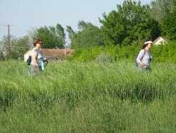 20140427 bivalyrezervatum 10