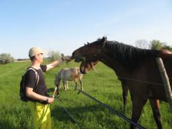 20140427 bivalyrezervatum 18