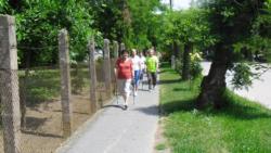 20140524 alaptanfolyam1 31