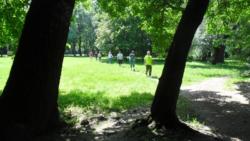 20140524 alaptanfolyam1 45