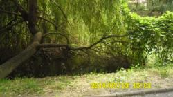 20140713 holt-maros 01