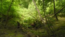 2015.Boszorkánysziget