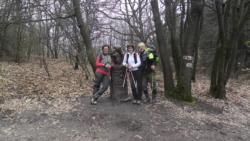 2015.Salgótarjáni NW I