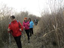 2017.02.26.Sándorfalva NW a kék túrán