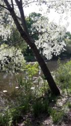 31500358 1659921497418328 6307877130737921025 n