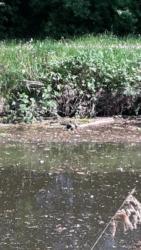 31514570 1659921640751647 9167536793290115809 n