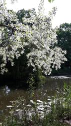 31655529 1659921494084995 7738215679220806629 n