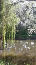 31671319 1659921514084993 7366790326179697045 n