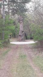 2019-04-13 Ásotthalom Bűbáj túra