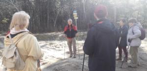 83356531 1077381262606996 3916235641024675840 n