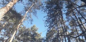 83508316 483287305895100 5064564283698839552 n