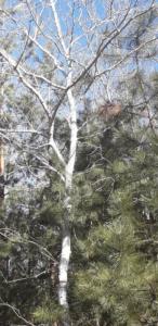 83593453 1557847434363992 2892992951569350656 n