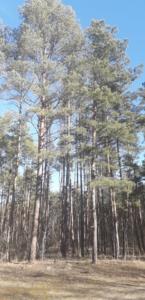 83684983 191723735565510 7693429859099344896 n