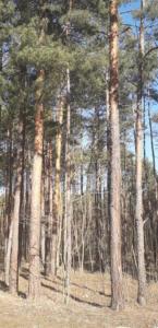 83734852 512212479423725 5885108121923223552 n