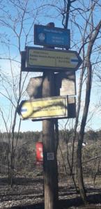 84045148 113539890097510 8556320833616740352 n