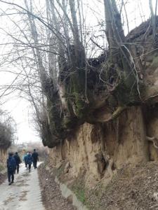 151734308 3644857338943871 4997494695574046870 o