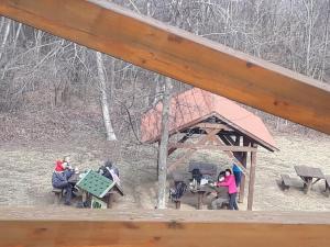 151951079 3644857098943895 6882256292418565521 o