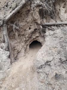 152221021 3644857468943858 6963868576301375484 o