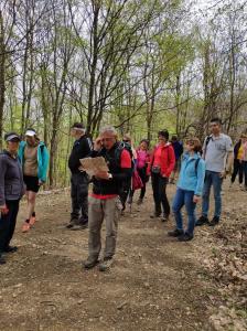 178762153 4339540569412845 5809329702587409521 n