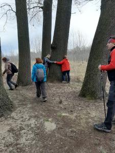 2021. március Csodatévő 7 tölgy