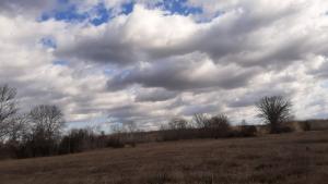 2022.Január 30. Sfalva kék túra