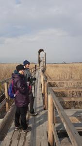 2022. Február 26. Új bivalyos Sándorfalva