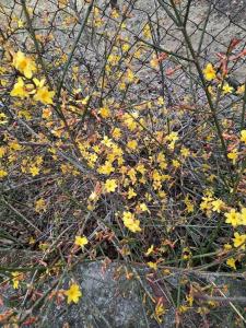 274047265 667349084613049 7290414697705934648 n