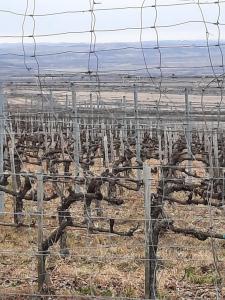 274191433 4634101633382714 4170959090409719796 n